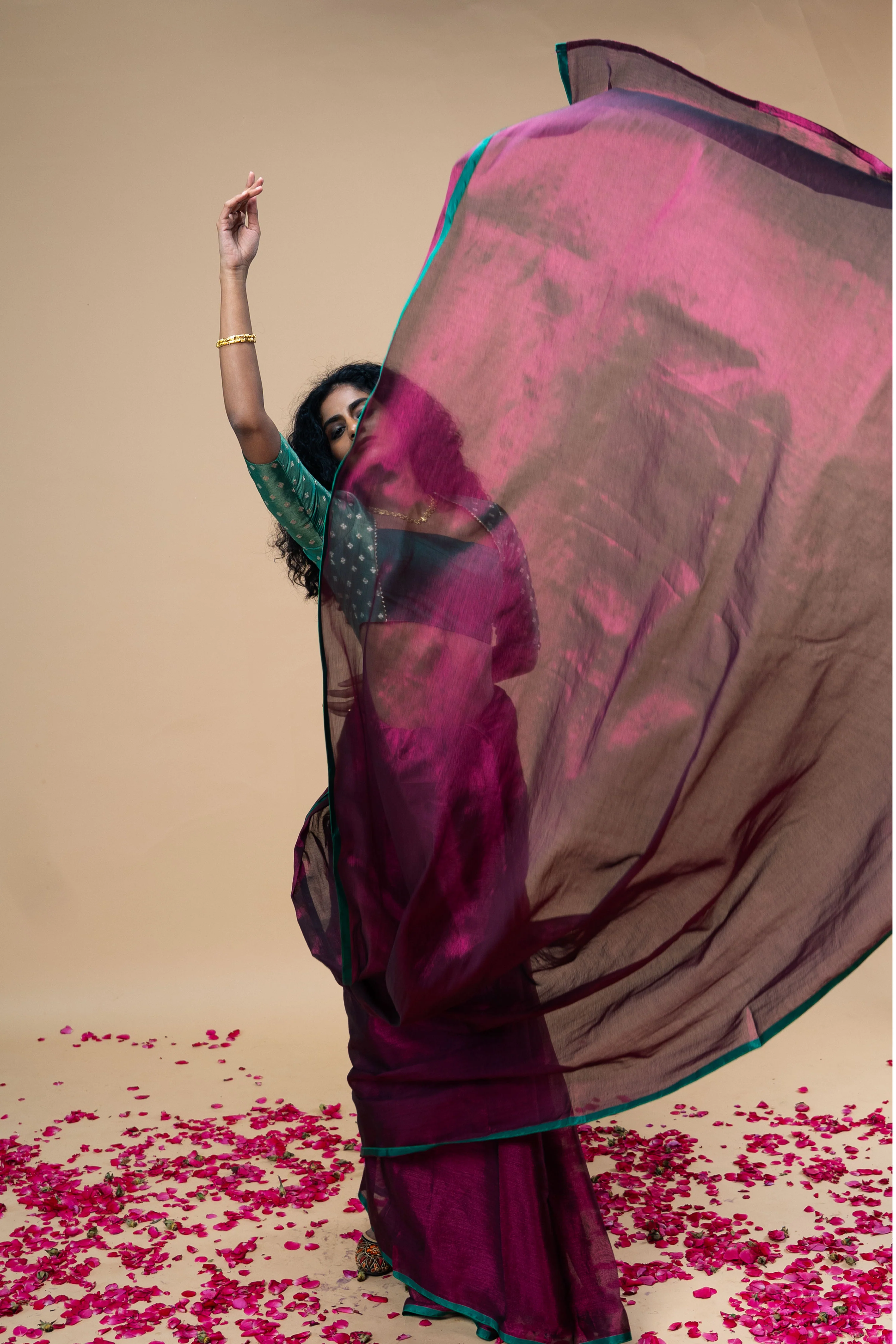 DIVIJA I Dark Pink handwoven tissue saree with green border - Image 3