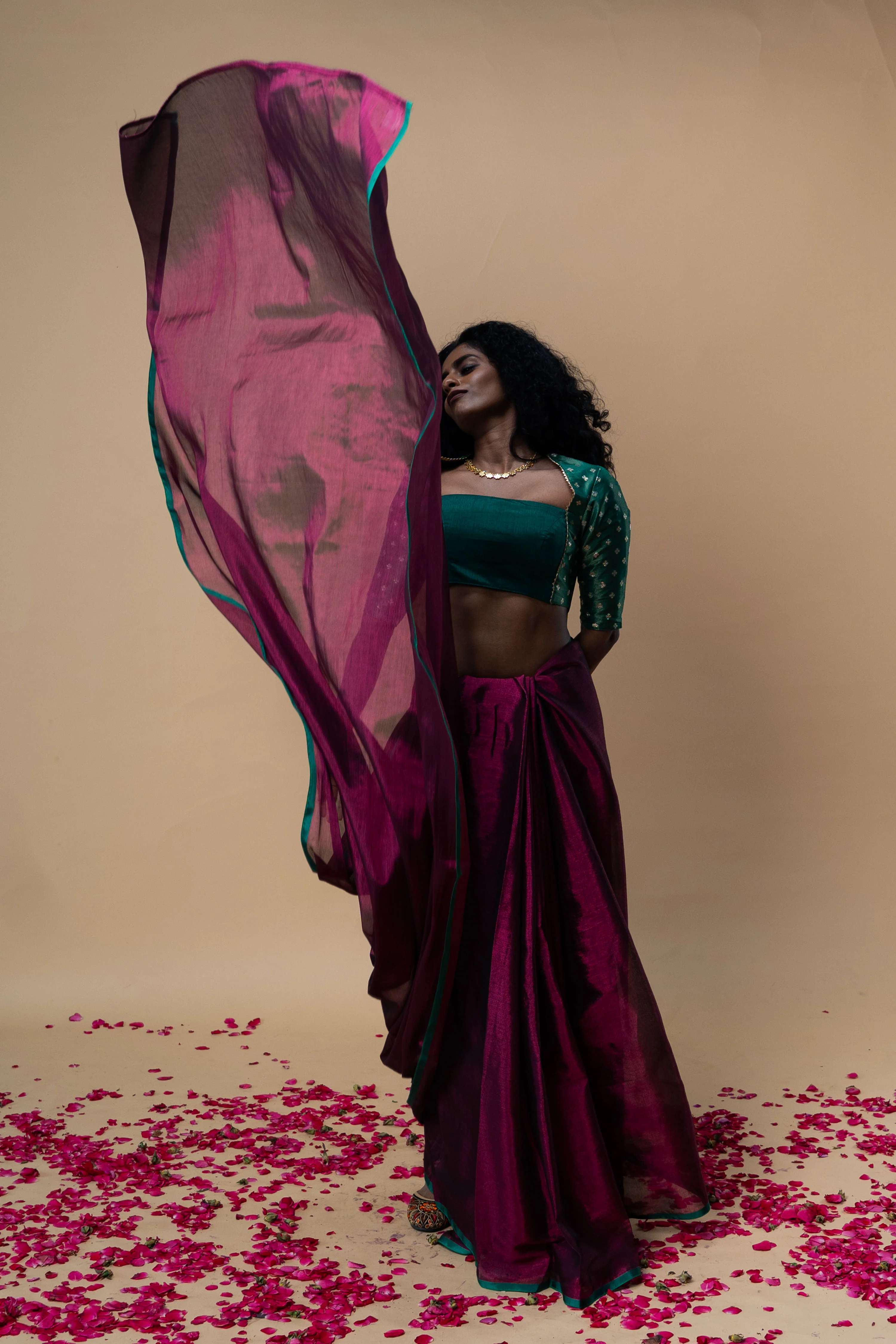 DIVIJA I Dark Pink handwoven tissue saree with green border - Image 4