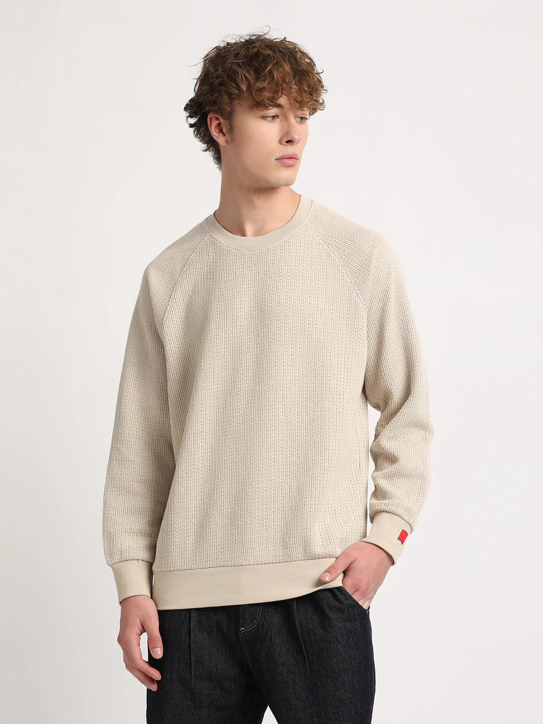 Men Beige Solid Relaxed Fit Sweatshirt - Image 2