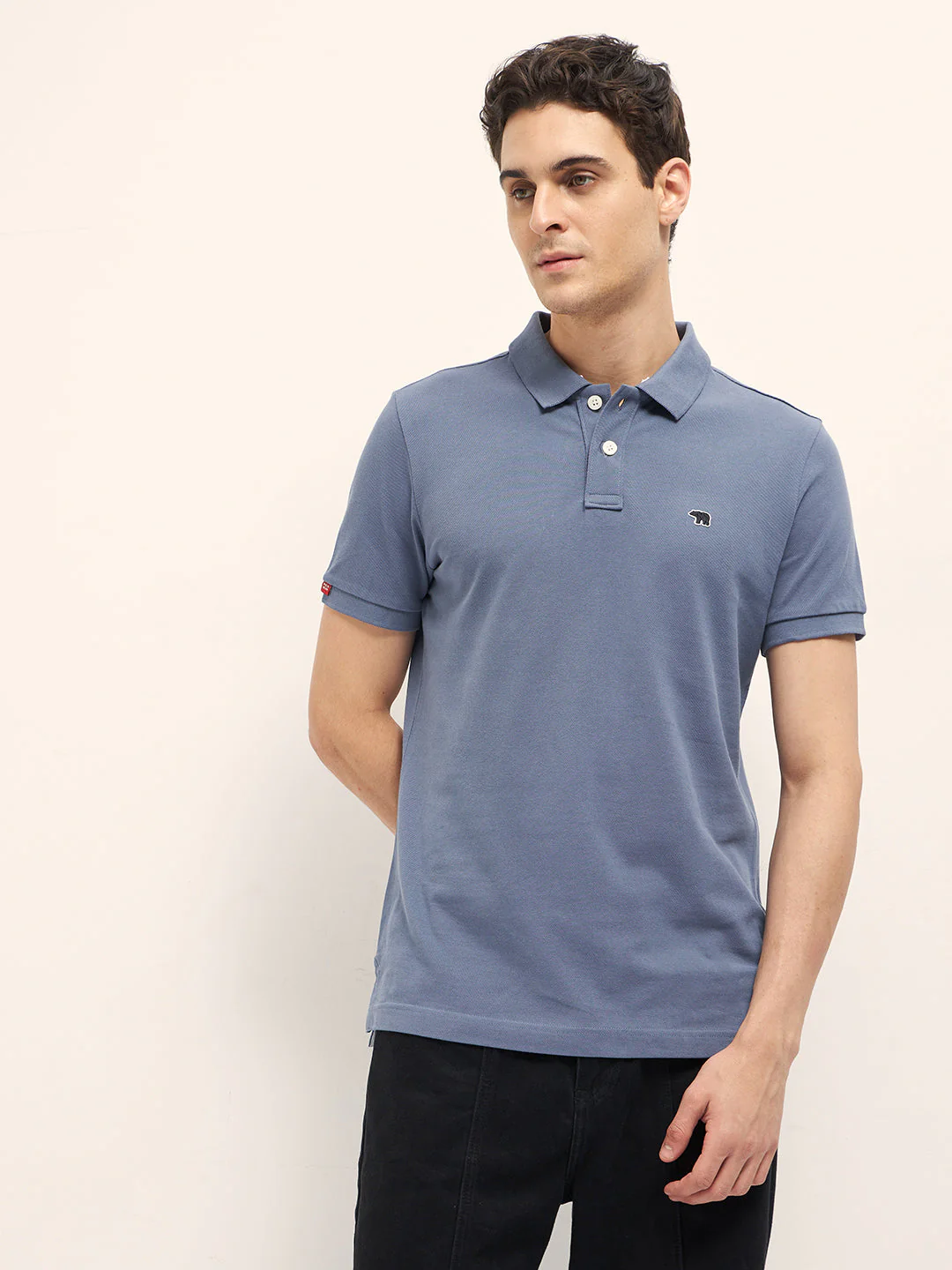 Men Blue Solid Regular Fit Polo