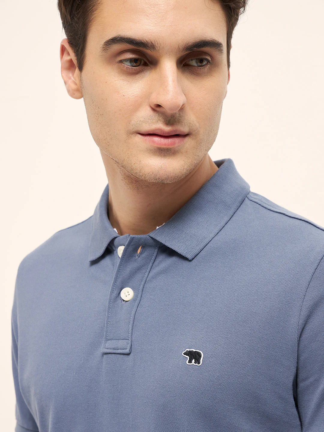 Men Blue Solid Regular Fit Polo - Image 5