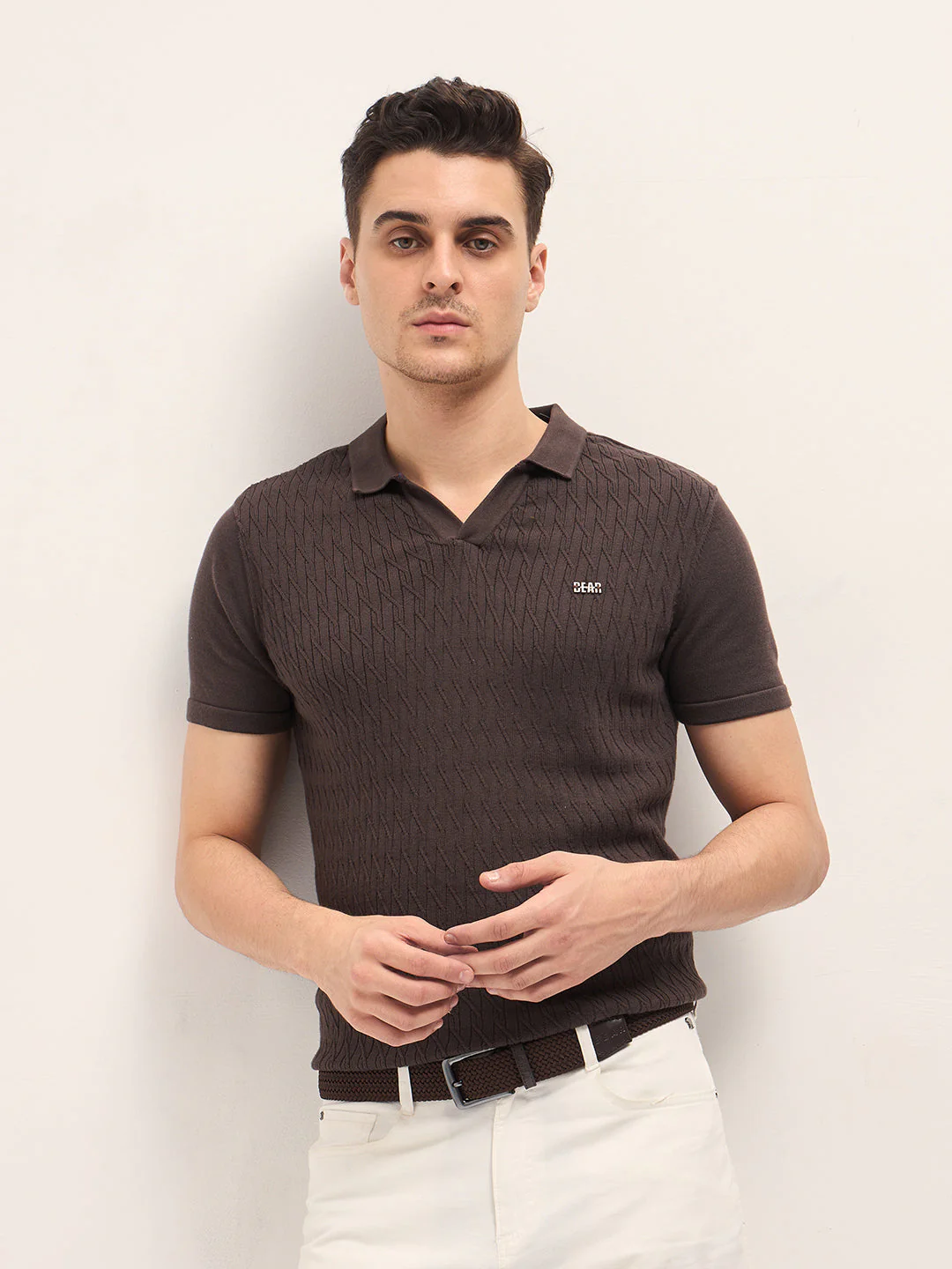 Men Brown Diagonal Knit Texture Regular Fit Polo
