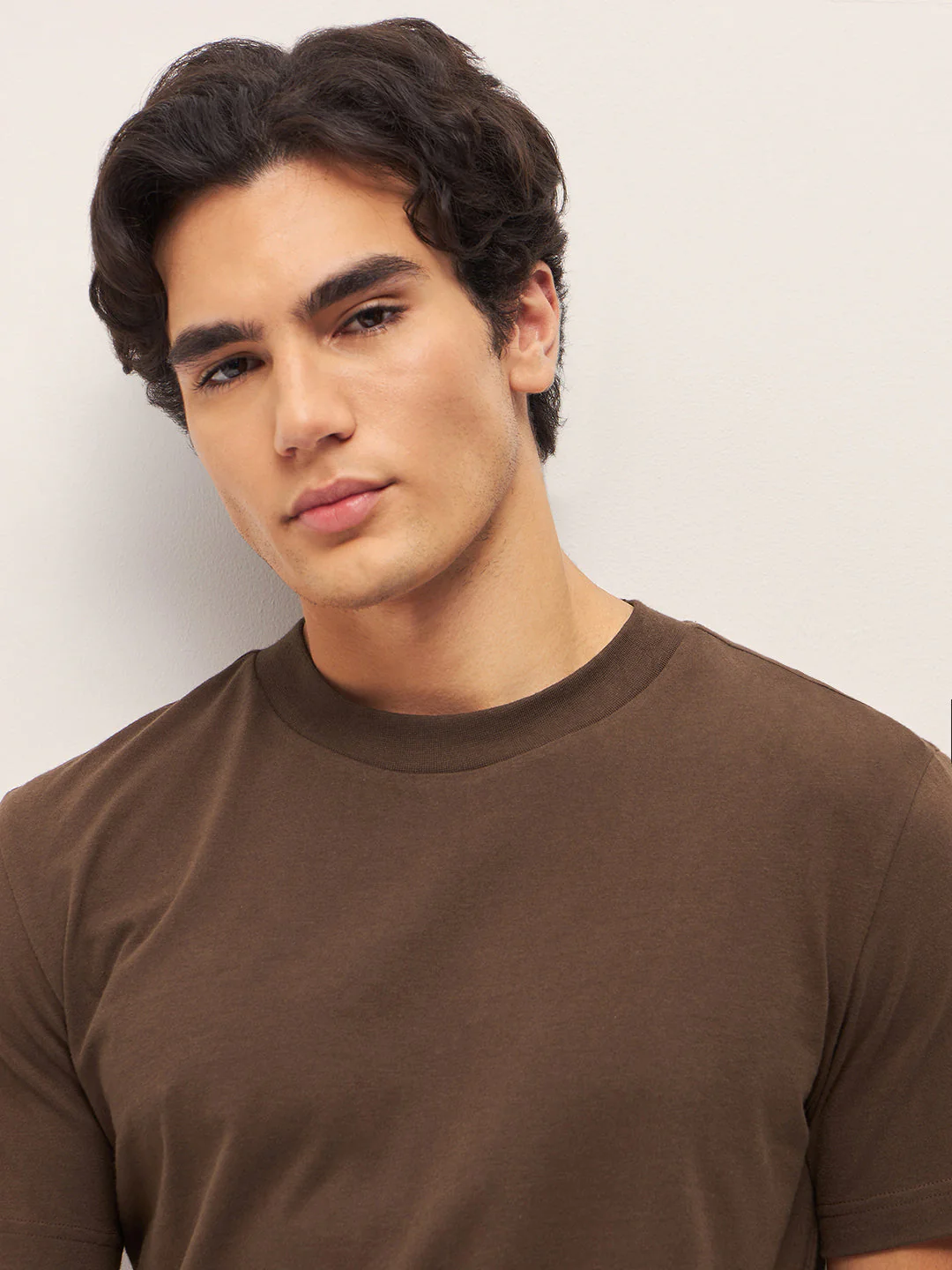 Men Brown Solid Crew Neck Regular Fit T-Shirt - Image 4