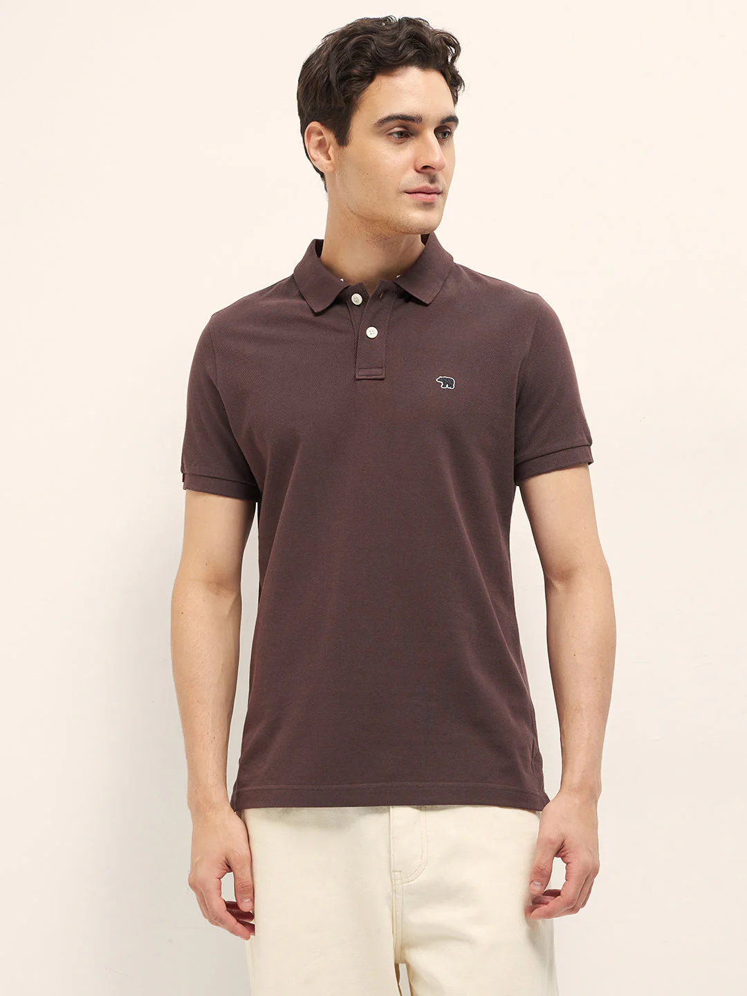 Men Brown Solid Regular Fit Polo - Image 6