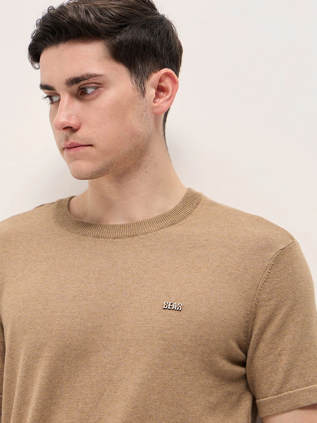 Men Brown Solid Regular Fit Ribbed Crew Neck T-shirt - Image 5