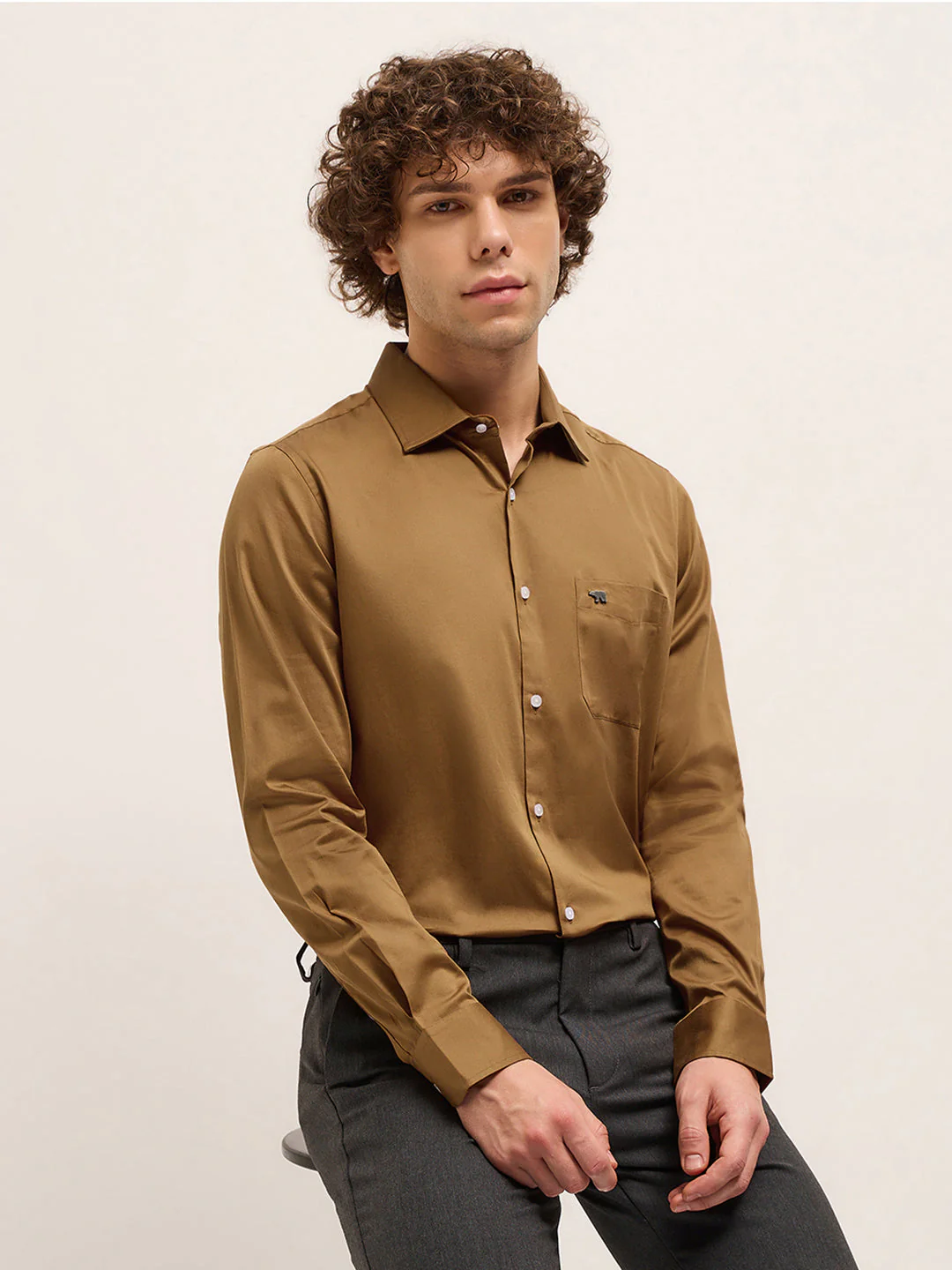Men Brown Tailored Fit Solid Formal Shirt