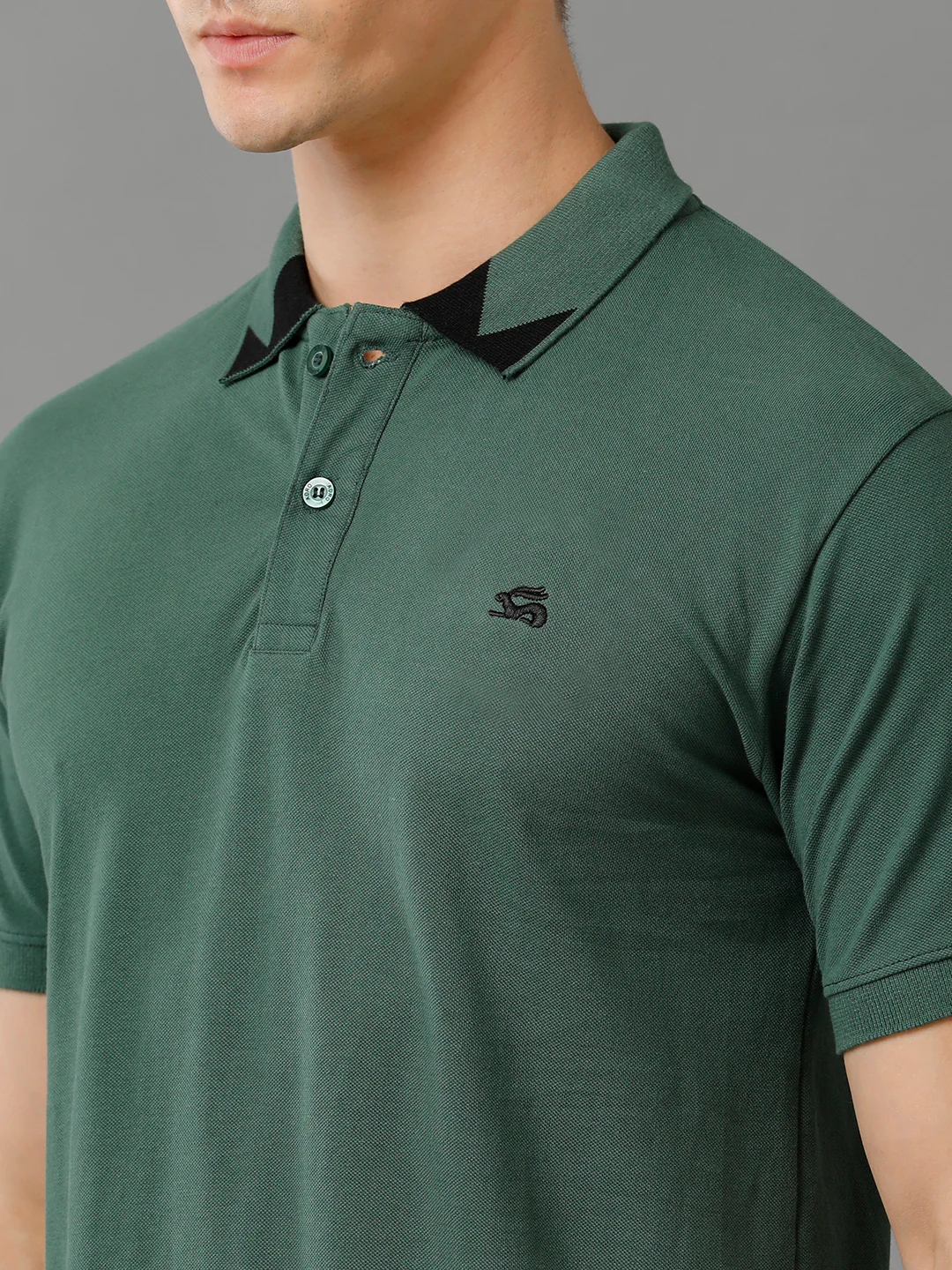 Men Green Regular Fit Polo T-Shirt - Image 2