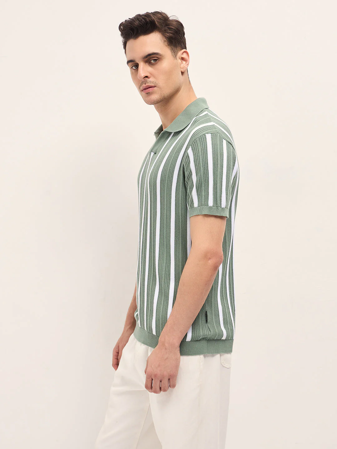 Men Green Textured Vertical Stripes Regular Fit Polo - Image 3