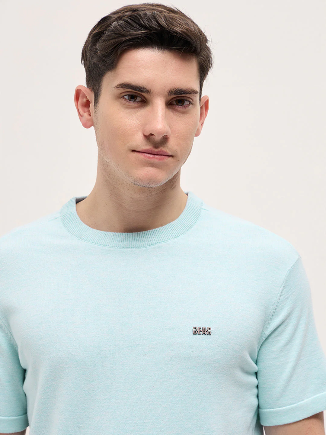 Men Light Blue Solid Regular Fit Ribbed Crew Neck T-shirt - Image 5