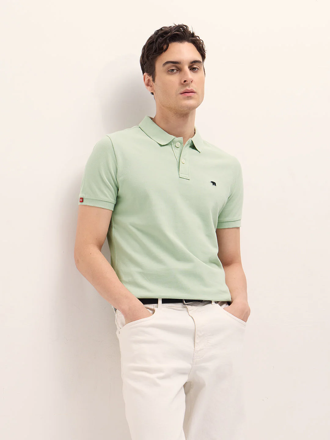 Men Light Green Solid Regular Fit Polo