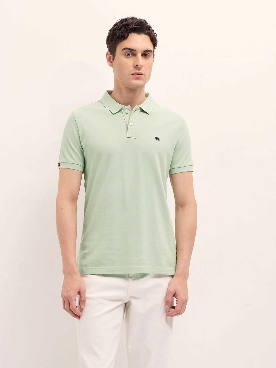 Men Light Green Solid Regular Fit Polo - Image 6