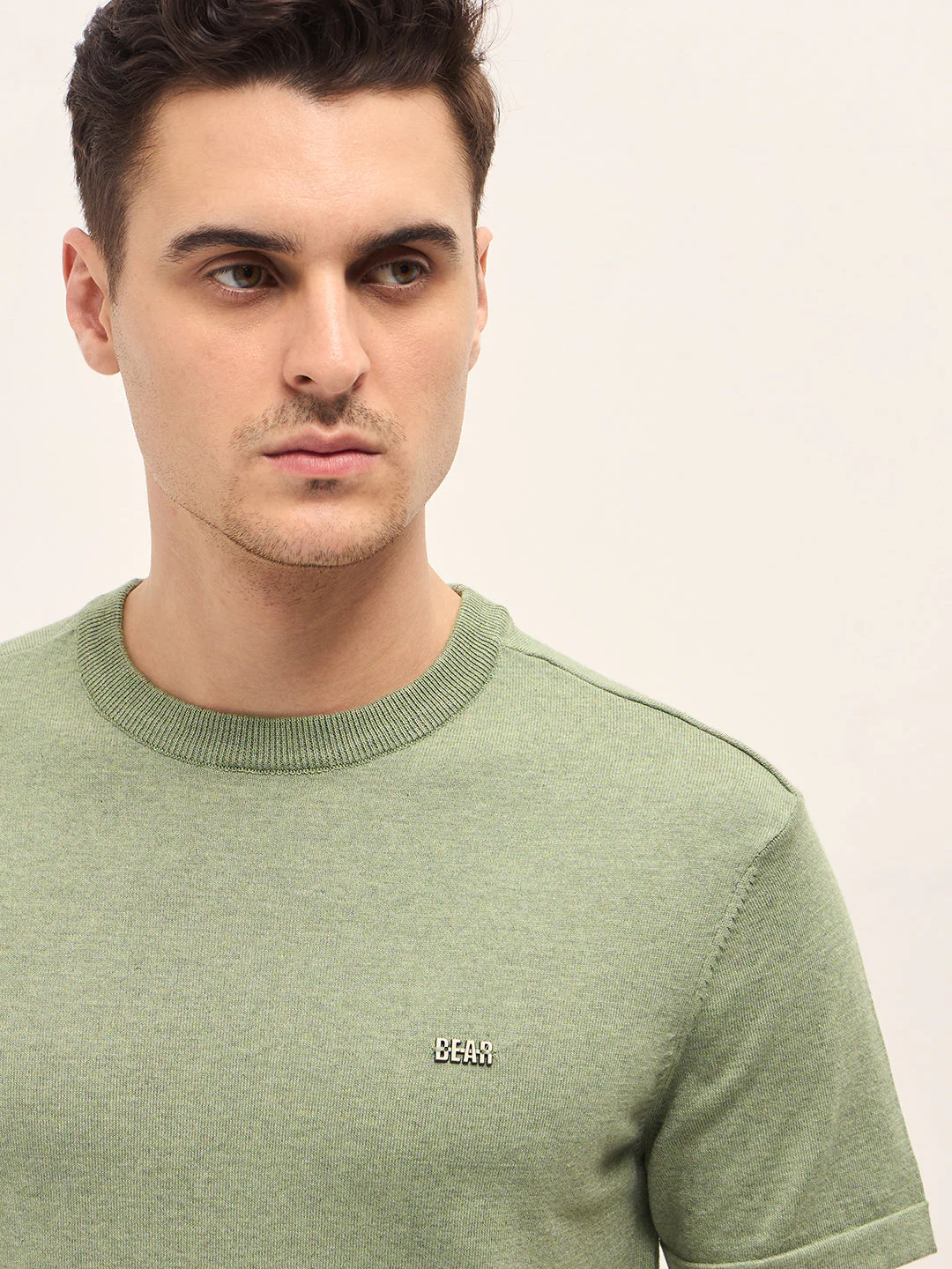 Men Light Green Solid Regular Fit Ribbed Crew Neck T-shirt - Image 5