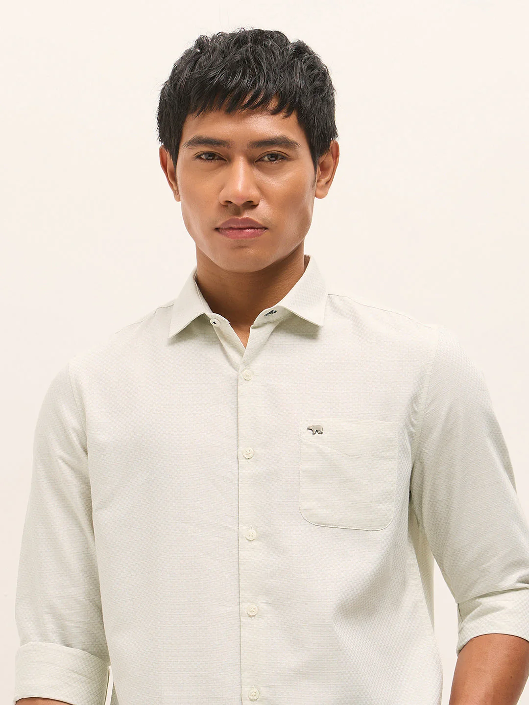 Men Light Green Woven Cotton Blend Tailored Fit Formal Shirt - Image 5