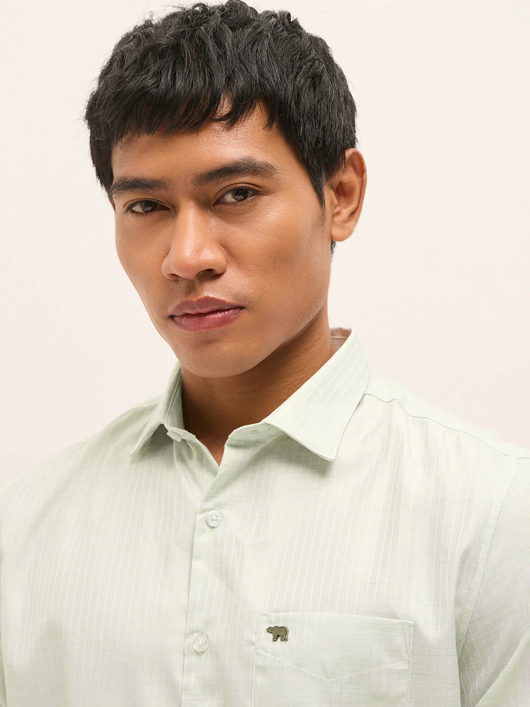 Men Light Green Woven Pinstripe Tailored Fit Formal Shirt - Image 5