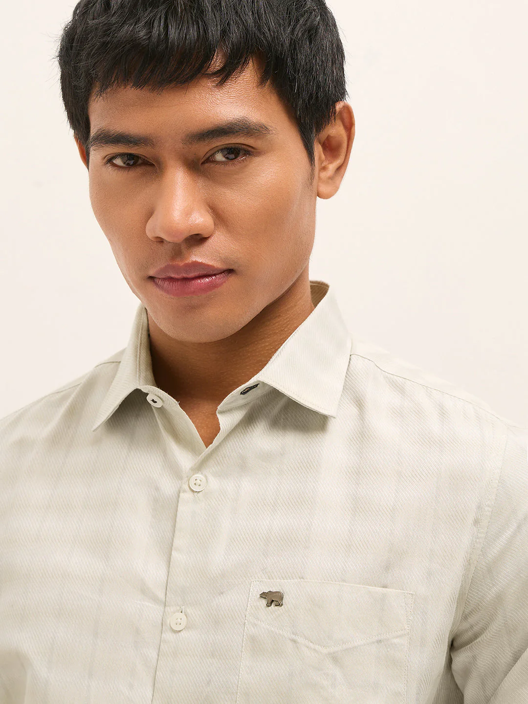 Men Light Green Woven Stripe Tailored Fit Formal Shirt - Image 5