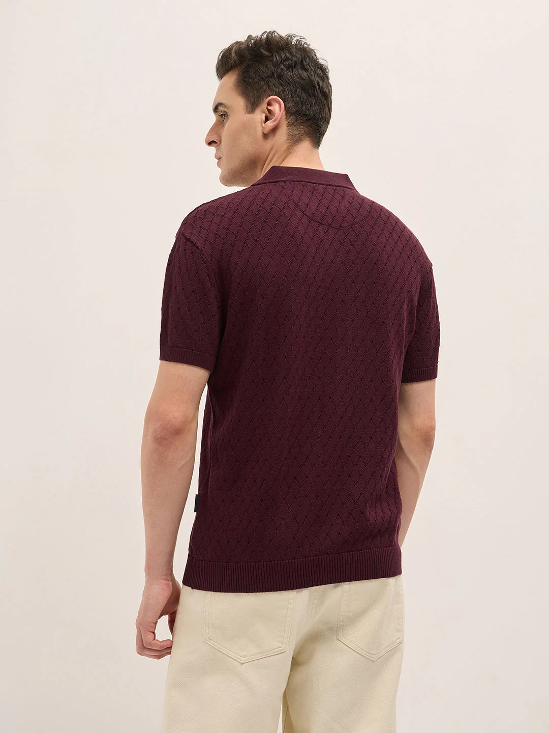 Men Maroon Relaxed Fit Textured Knit Polo - Image 2