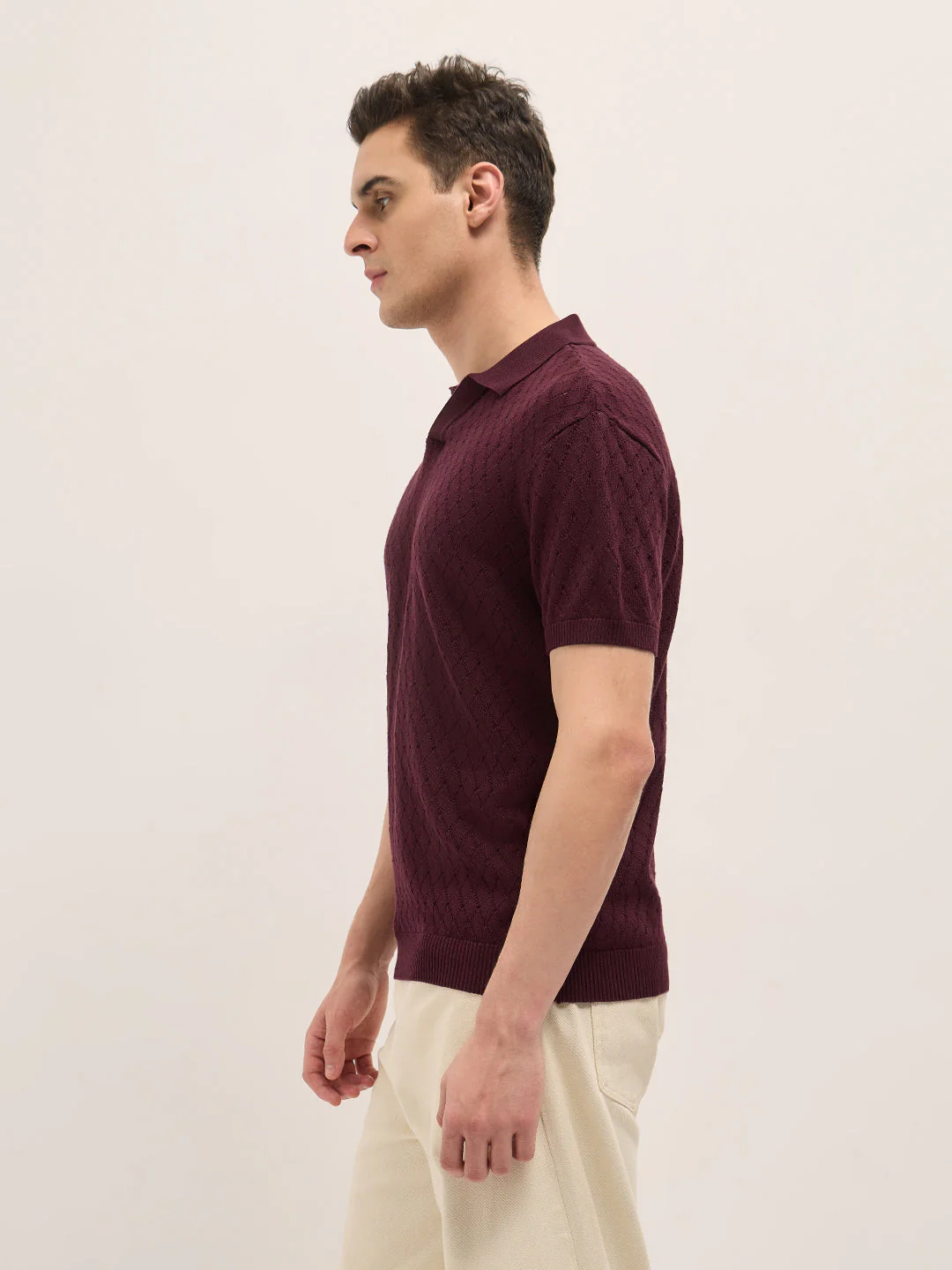 Men Maroon Relaxed Fit Textured Knit Polo - Image 3
