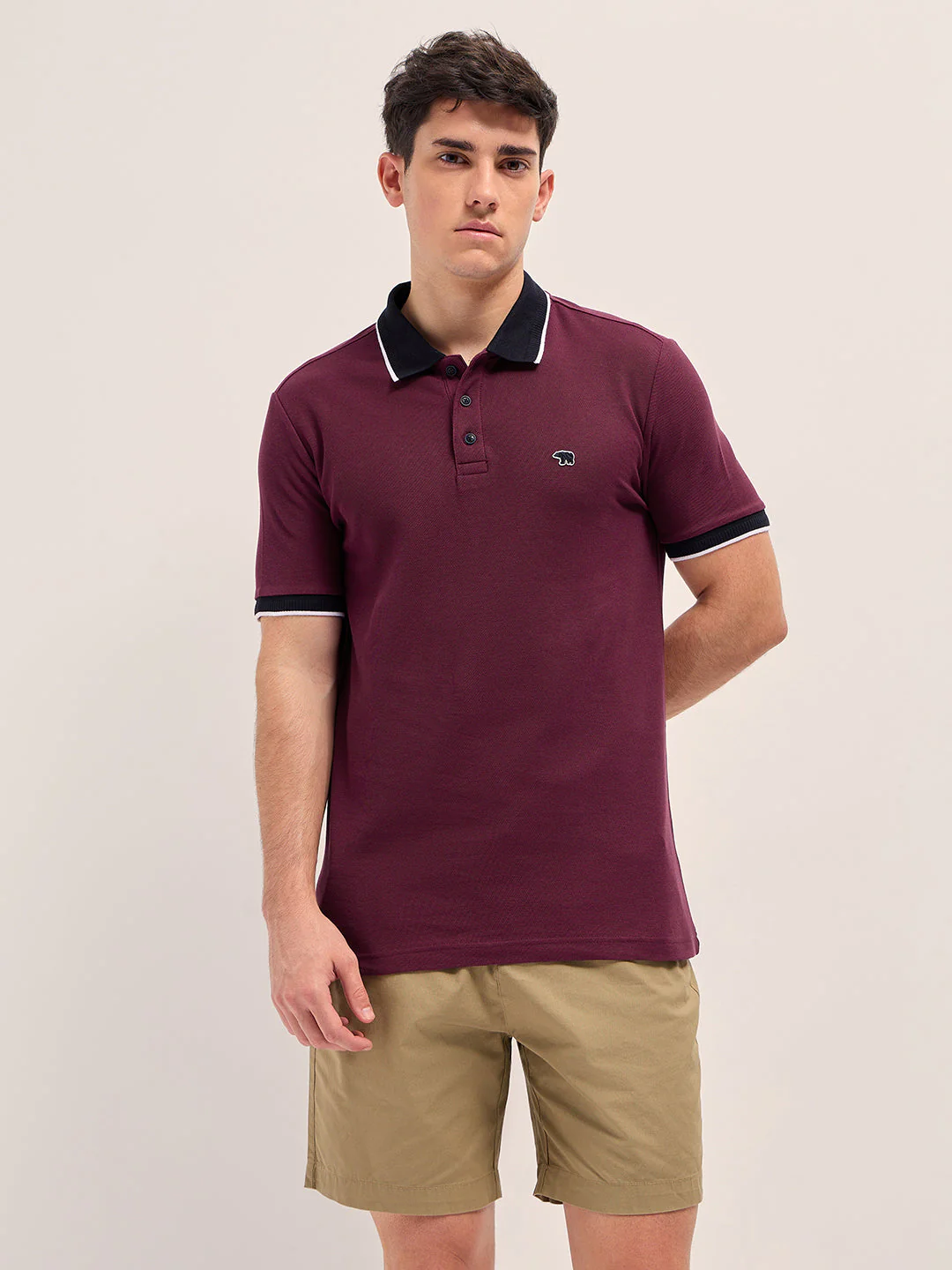 Men Maroon Solid Polo T-shirt - Image 6