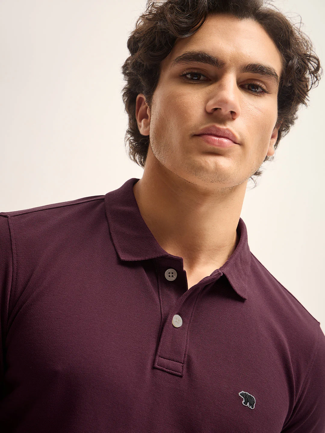 Men Maroon Solid Regular Fit Polo Collar T-shirt - Image 5