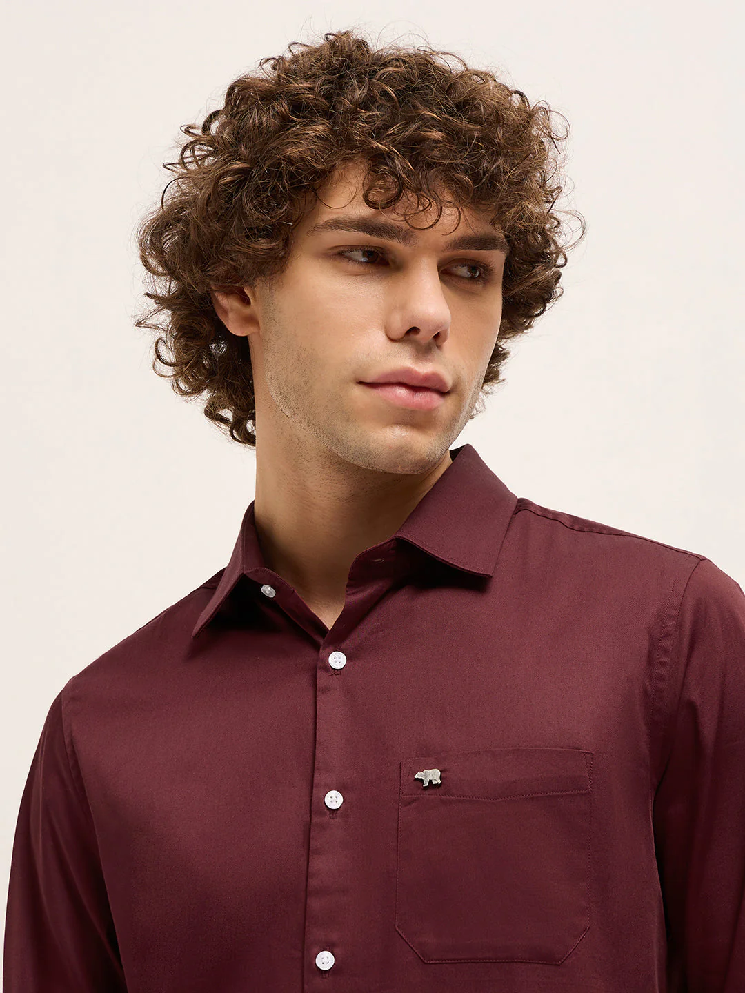 Men Maroon Tailored Fit Solid Formal Shirt - Image 5