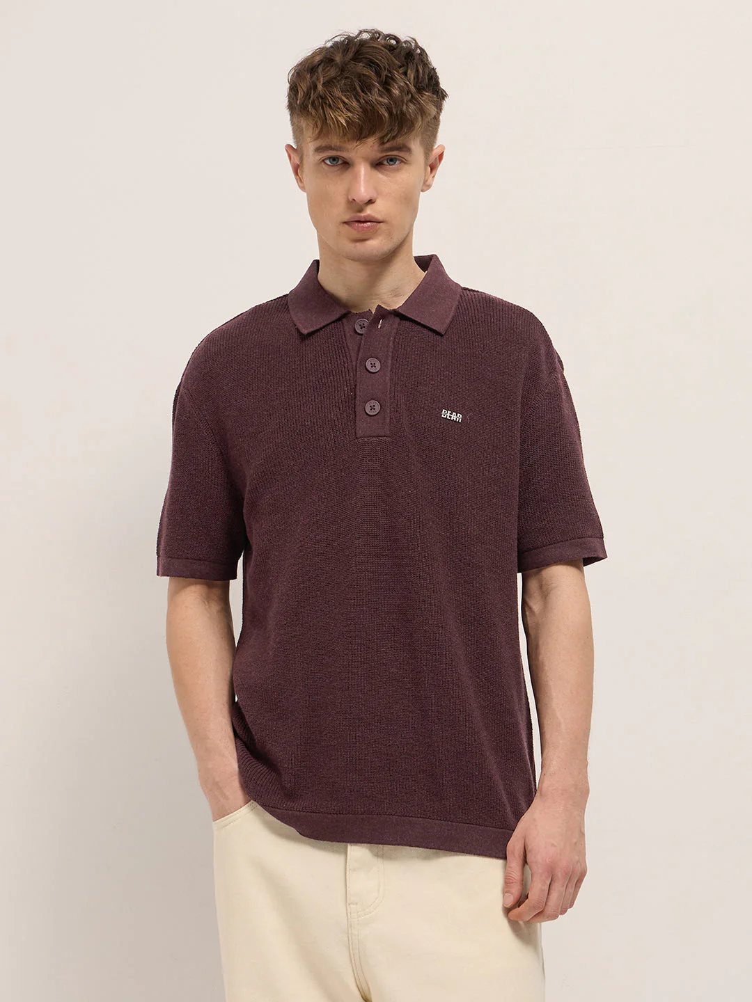 Men Maroon Textured Knit Relaxed Fit Polo - Image 6