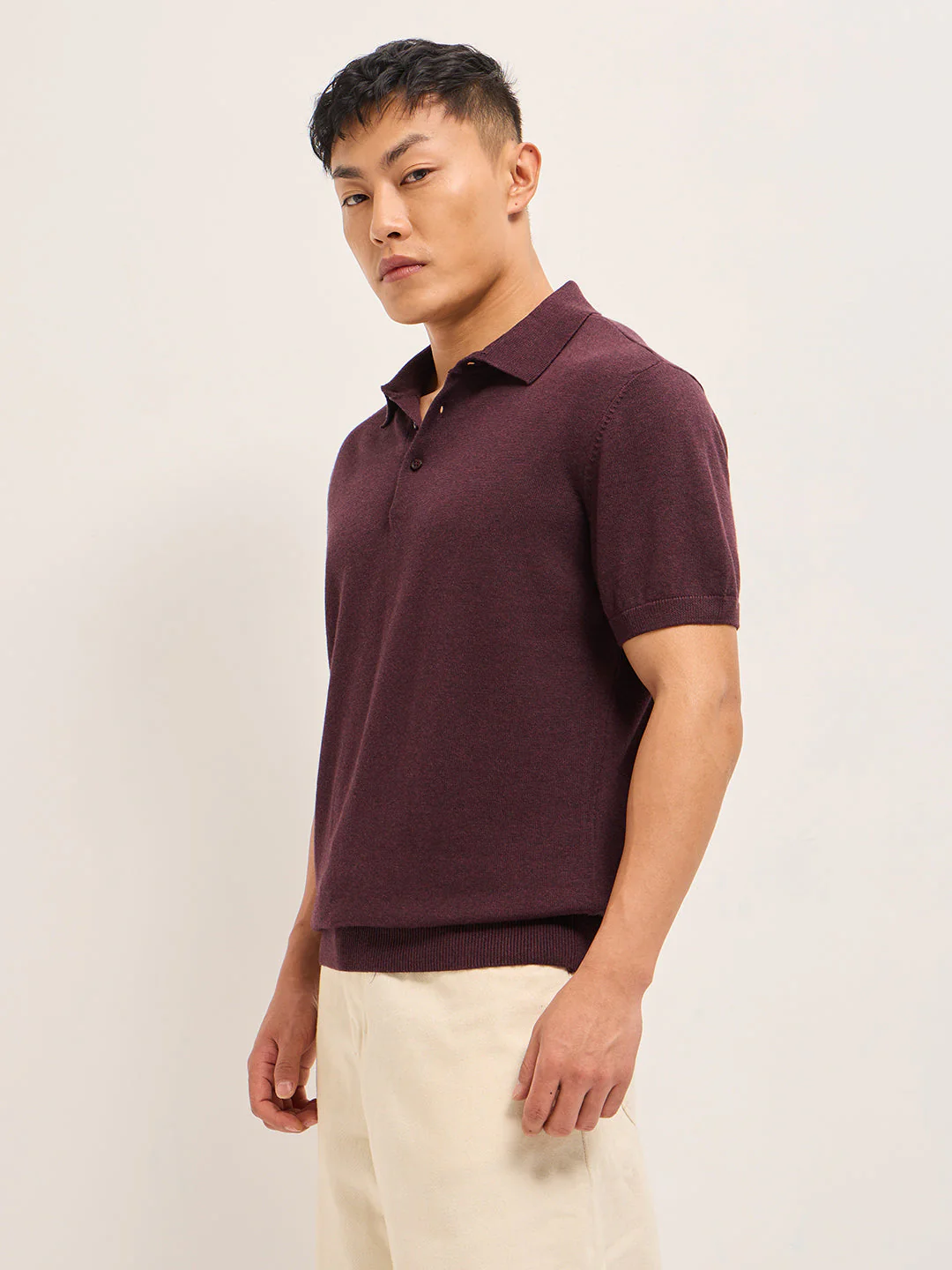 Men Maroon Textured Knit Solid Regular Fit Polo - Image 2