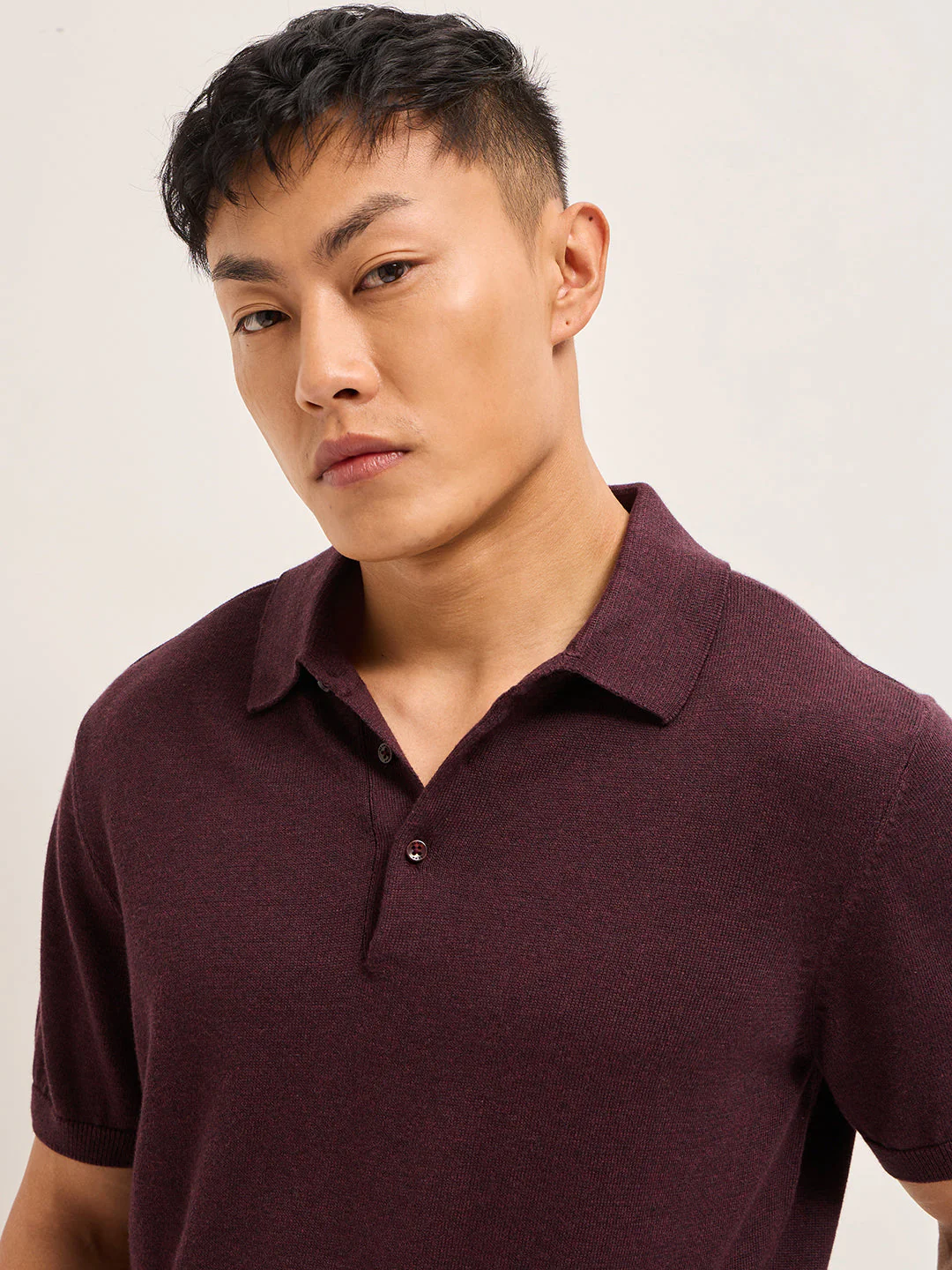 Men Maroon Textured Knit Solid Regular Fit Polo - Image 5