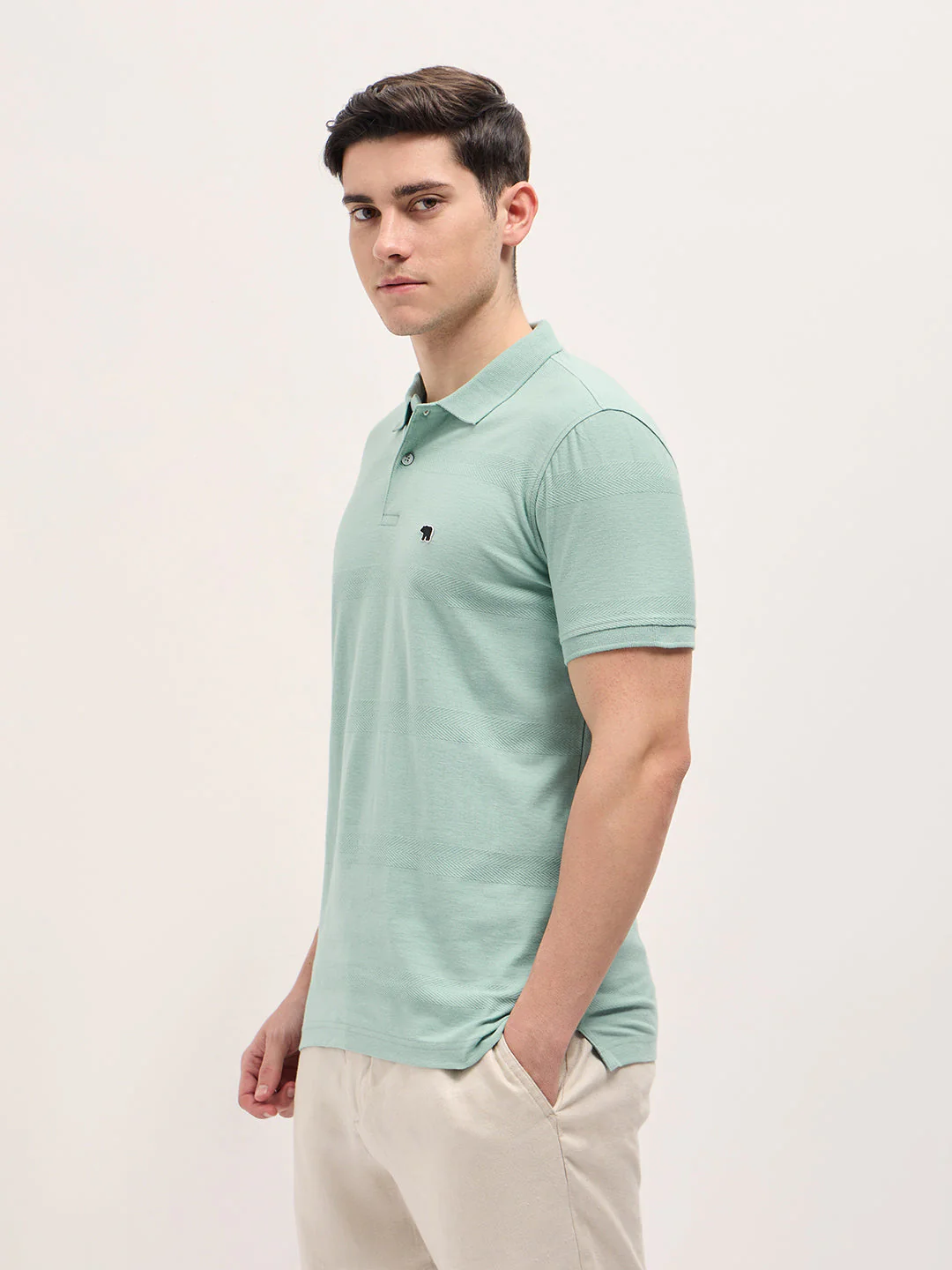 Men Mint Green Horizontal stripes Textured Knit Regular Fit Polo - Image 3