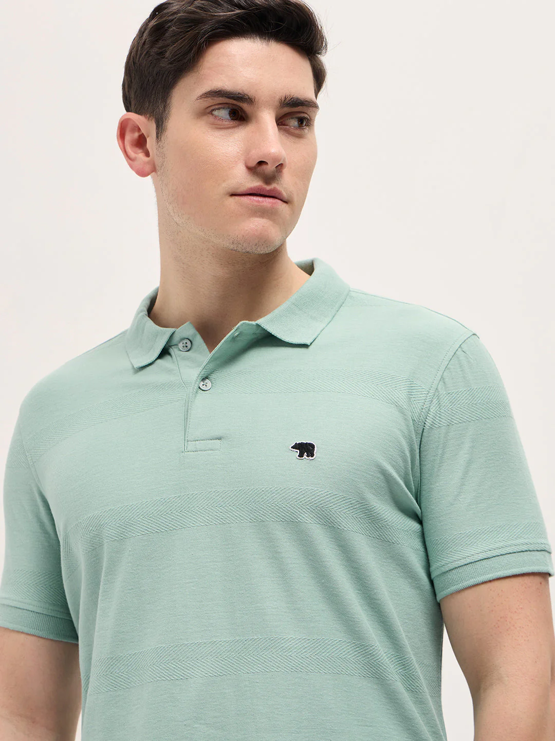 Men Mint Green Horizontal stripes Textured Knit Regular Fit Polo - Image 5