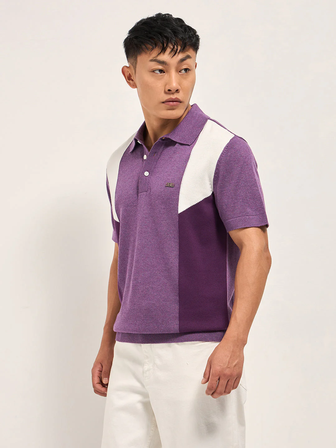 Men Multicolor Colorblock Flat Knit Polo - Image 3
