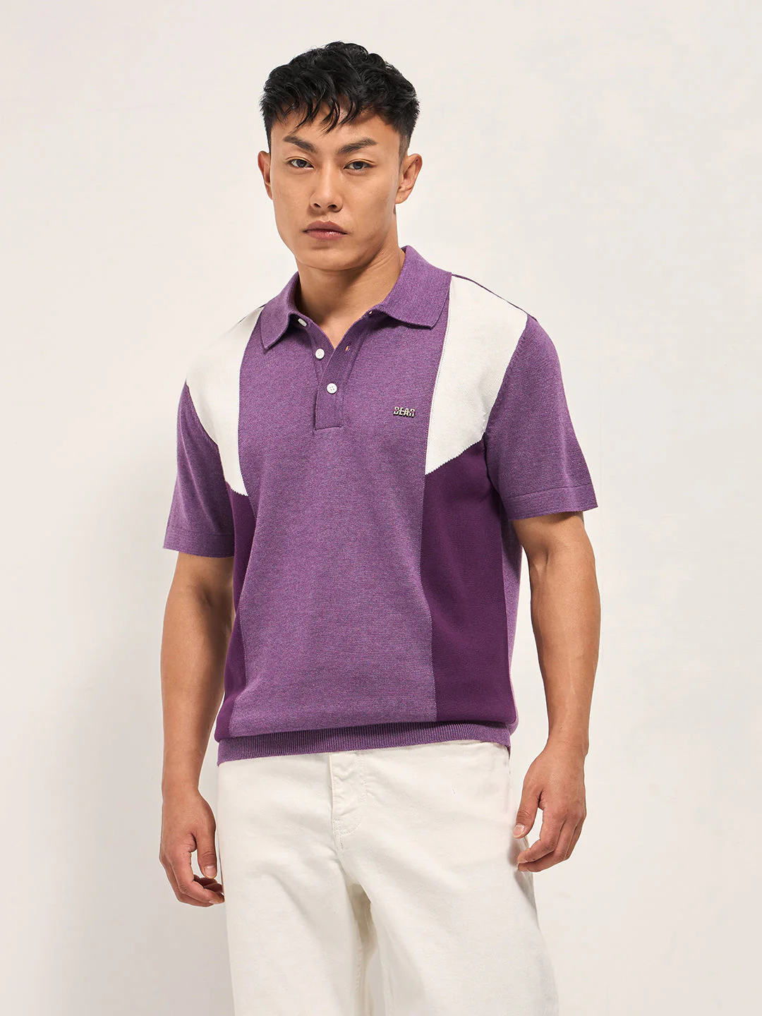 Men Multicolor Colorblock Flat Knit Polo - Image 6