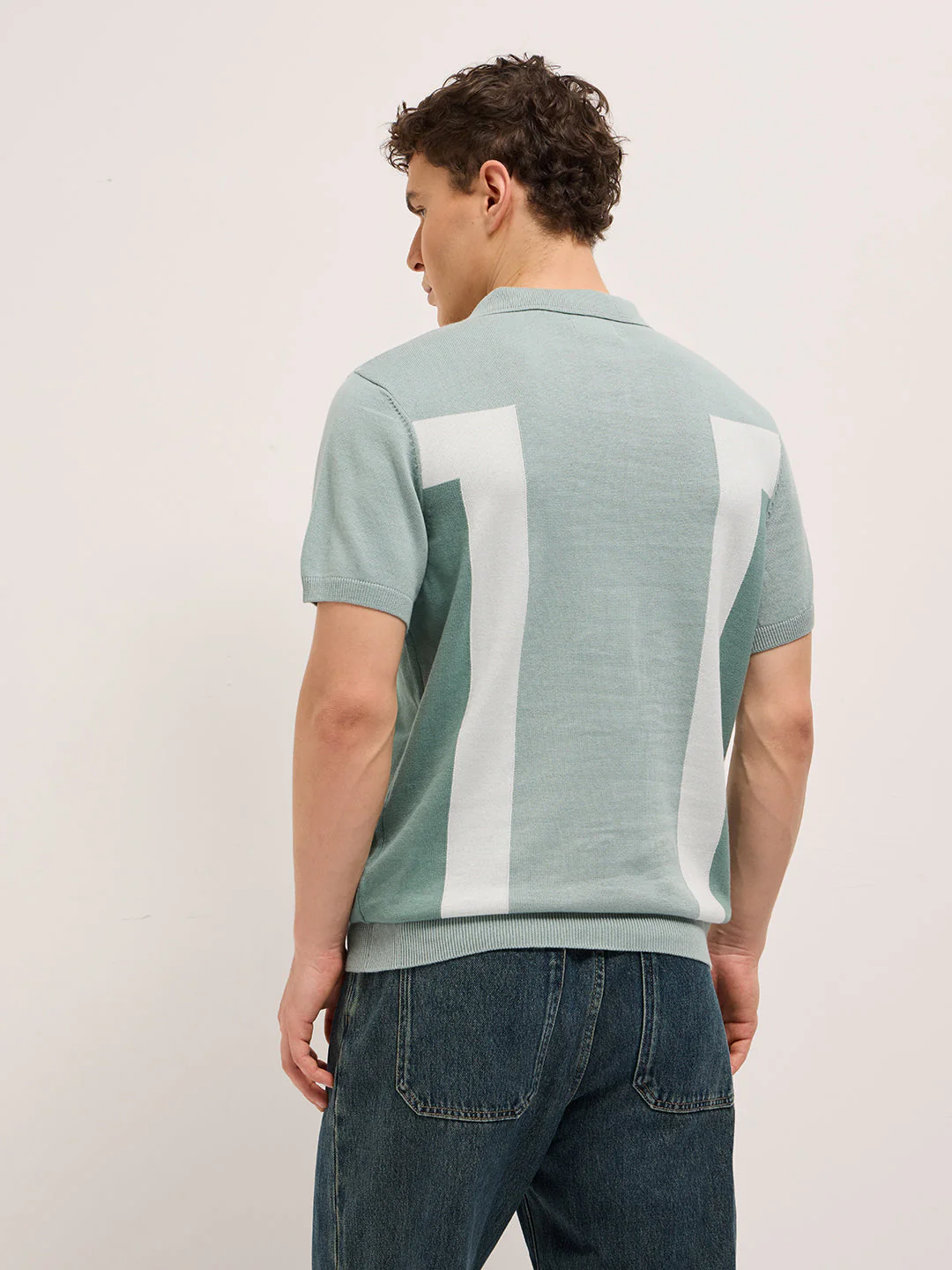 Men Multicolor Regular Fit Colorblock Flat Knit Polo - Image 2