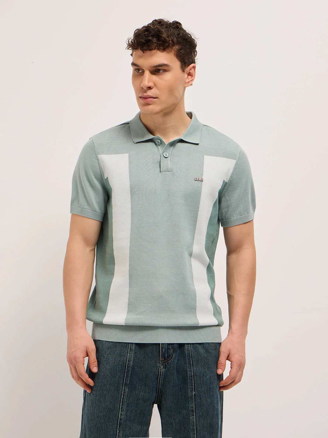 Men Multicolor Regular Fit Colorblock Flat Knit Polo - Image 6
