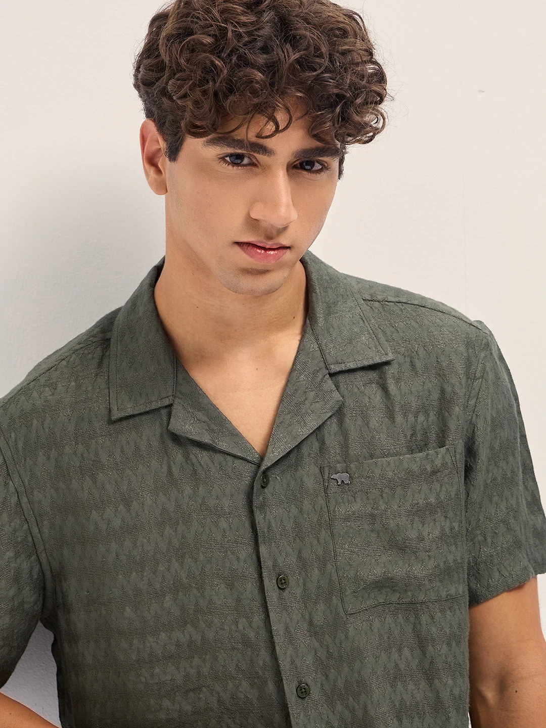 Men Olive Zigzag Textured Weave Relaxed Fit Half Sleeve Casual Shirt - Image 5