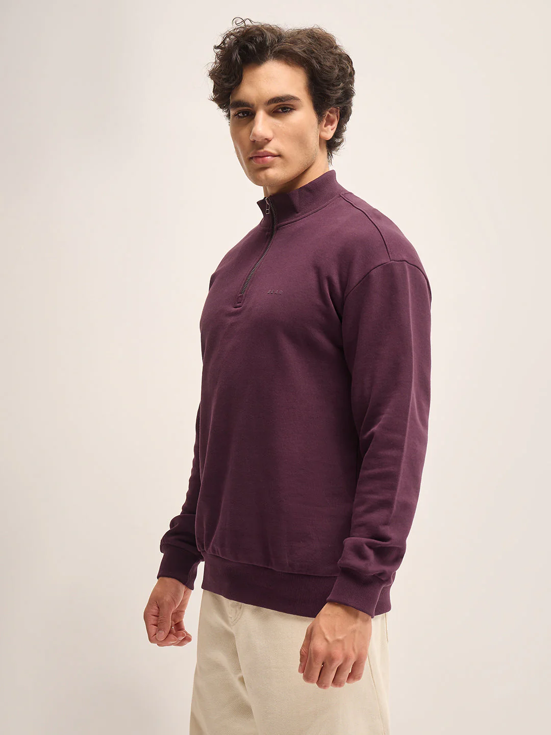 Men Plum Solid Relax Fit High Neck Sweatshirt - Image 3