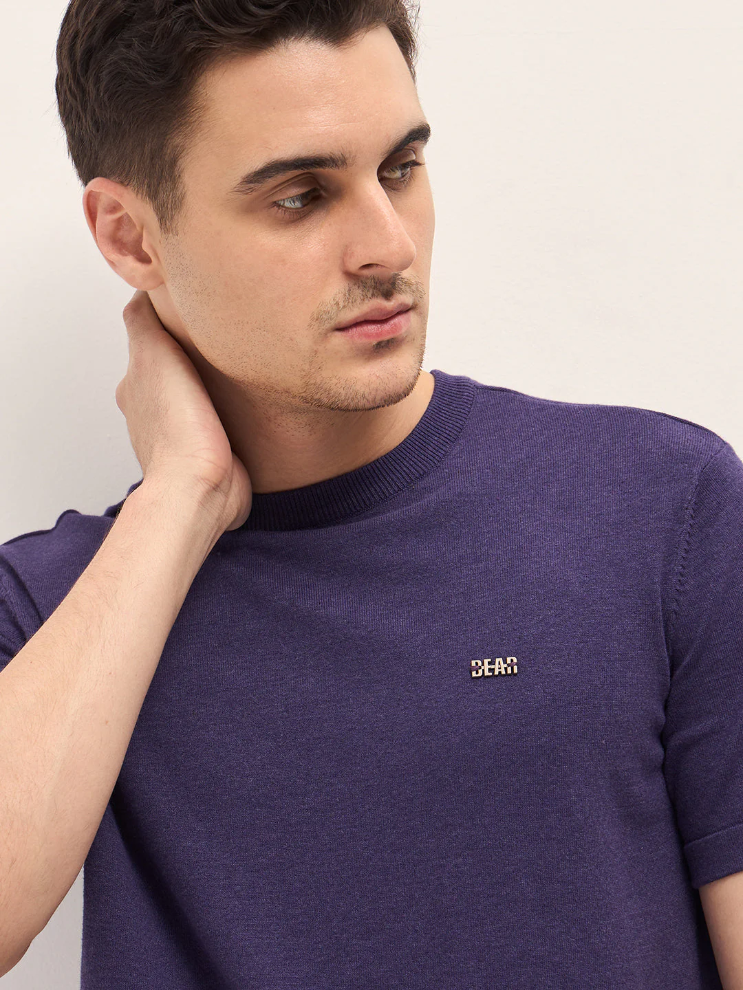 Men Purple Solid Regular Fit Ribbed Crew Neck T-shirt - Image 5