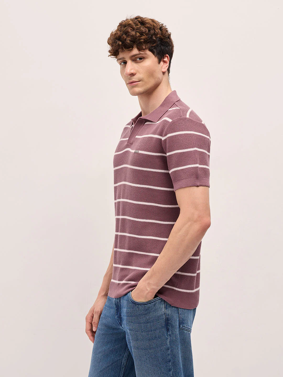 Men Purple Texture Horizontal Stripes Slim Fit Polo - Image 3