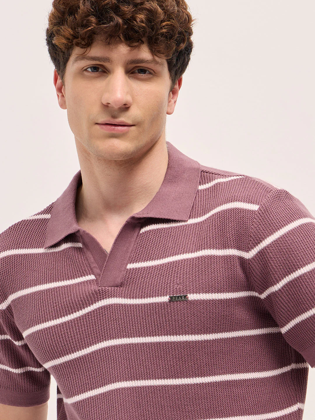 Men Purple Texture Horizontal Stripes Slim Fit Polo - Image 5