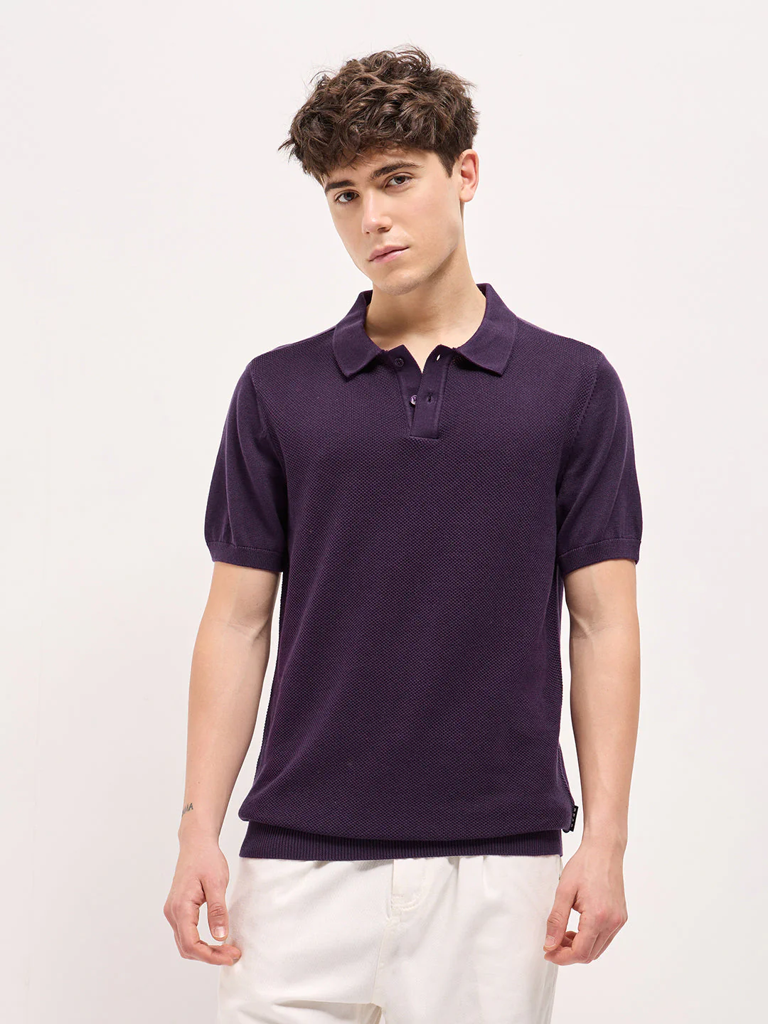 Men Purple Textured Knit Regular Fit Polo T-shirt - Image 6