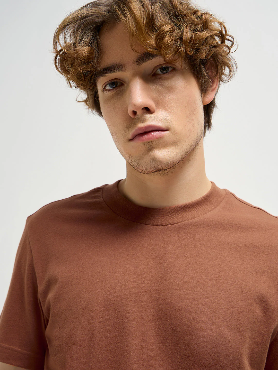 Men Rust Solid Crew Neck Regular Fit T-Shirt - Image 5