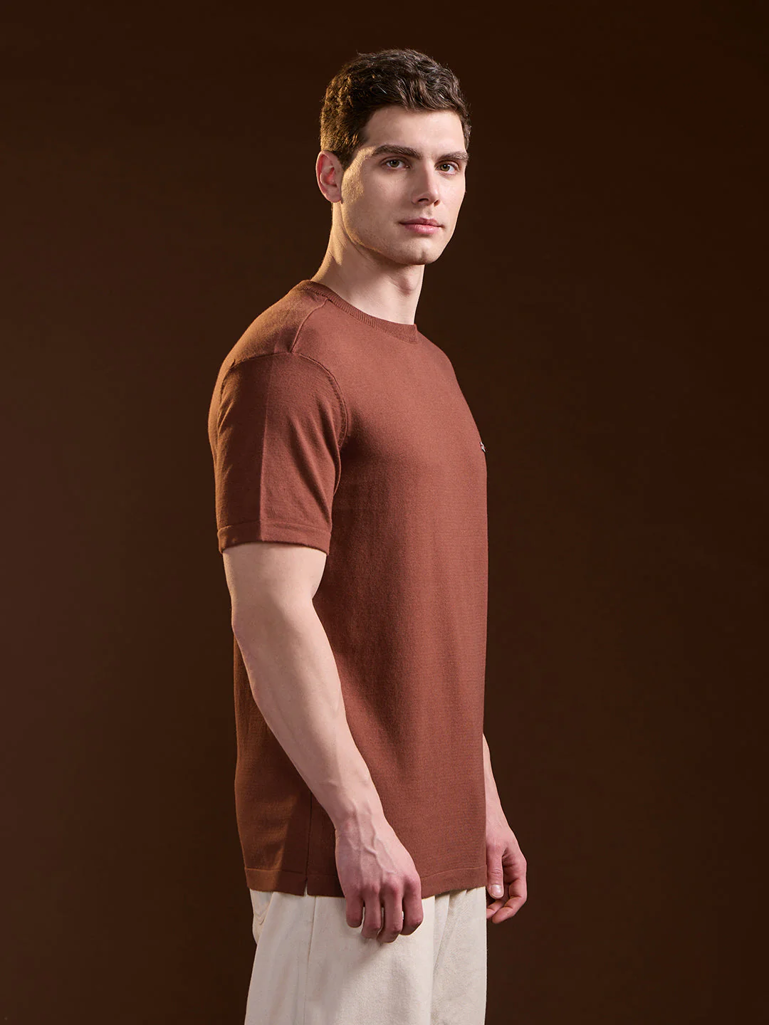 Men Rust Solid Regular Fit Ribbed Crew Neck T-shirt - Image 3