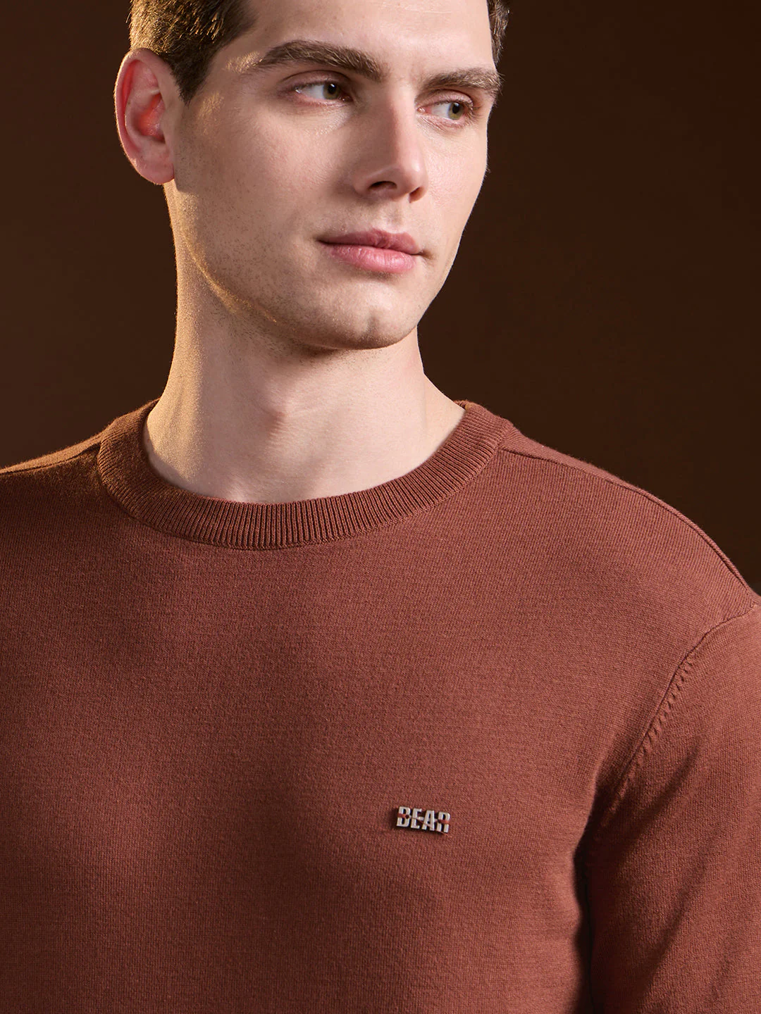 Men Rust Solid Regular Fit Ribbed Crew Neck T-shirt - Image 5