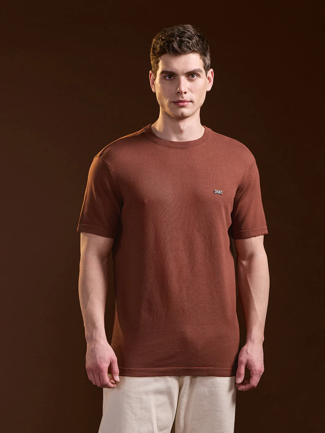 Men Rust Solid Regular Fit Ribbed Crew Neck T-shirt - Image 6