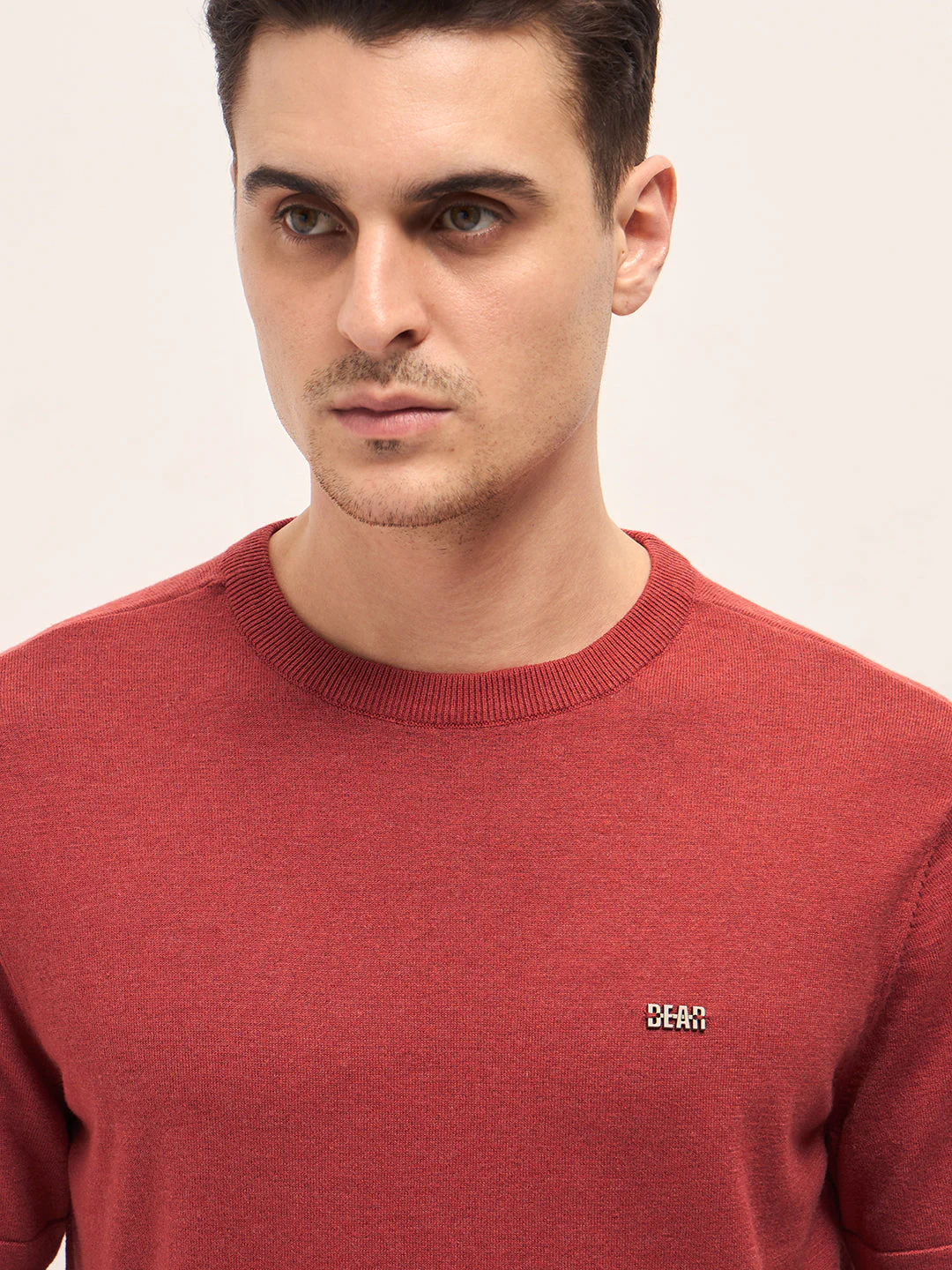 Men Rust Solid Regular Fit Ribbed Crew Neck T-shirt - Image 5