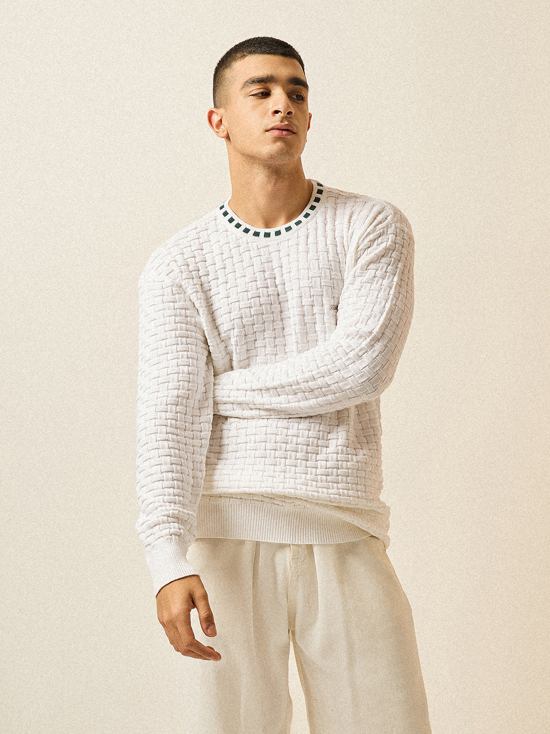 Men White Knitted Textured Regular Fit Ribbed Crew Neck T-shirt - Image 6