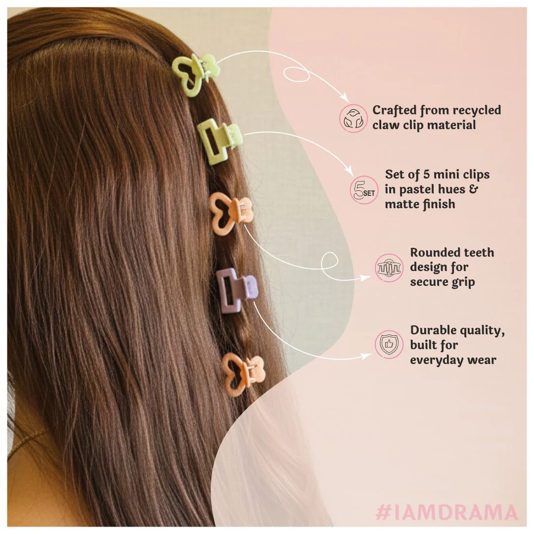 Multi Mini Claw Clip Set of 5 - Image 5
