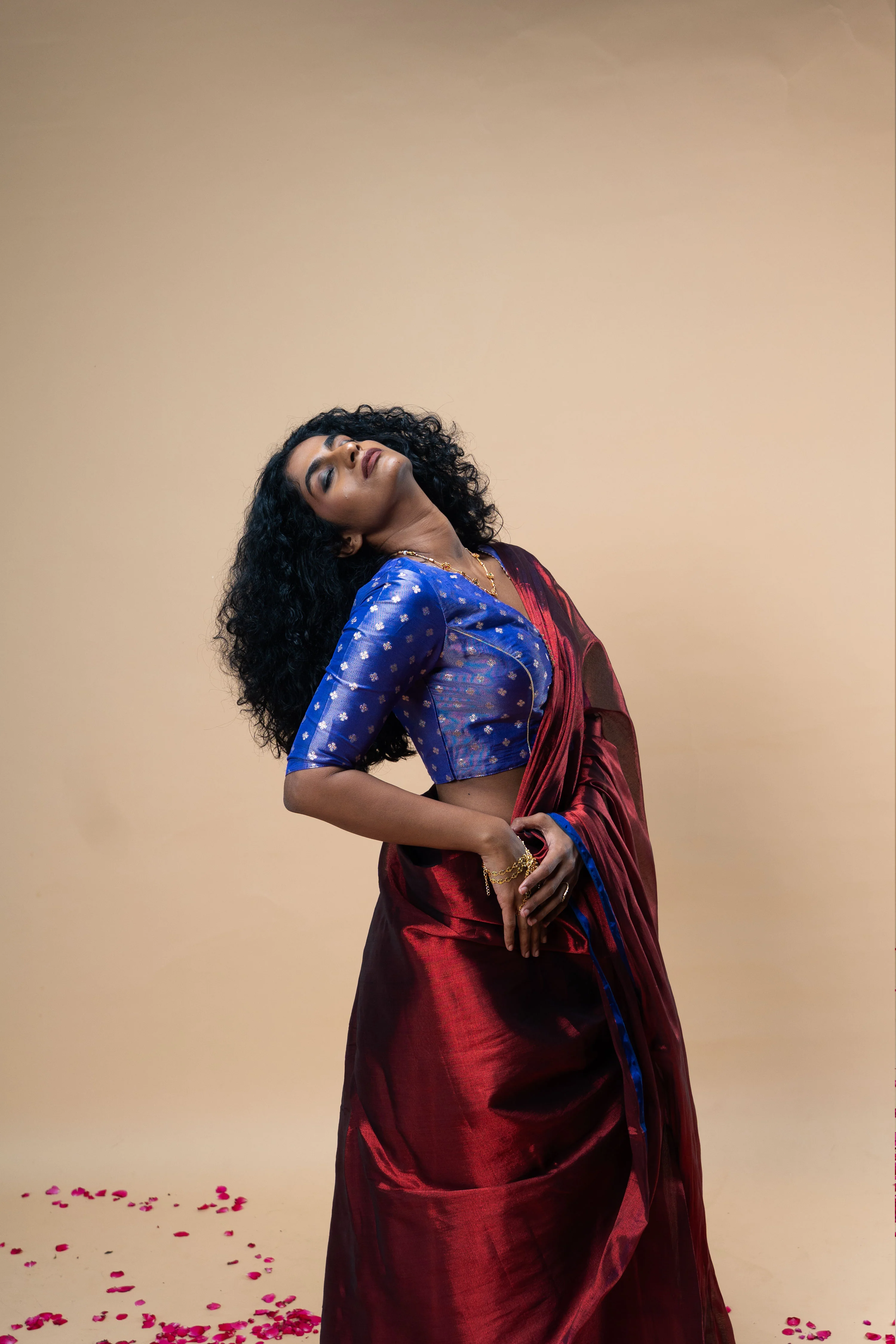 TANVYA I Red handwoven tissue saree with blue border - Image 3