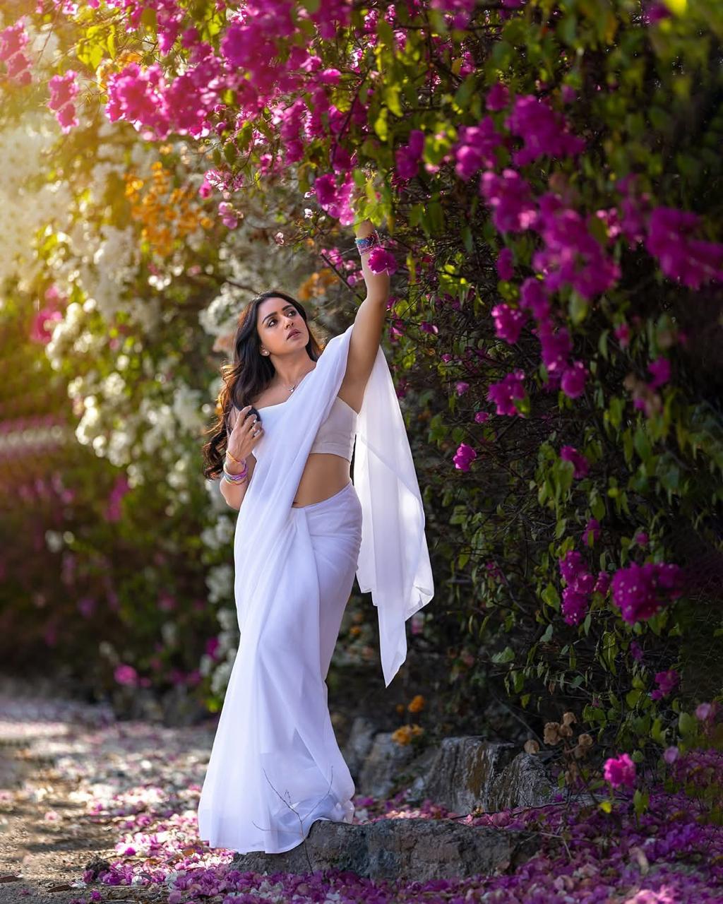 Women Pure Cotton Solid Saree - Image 5